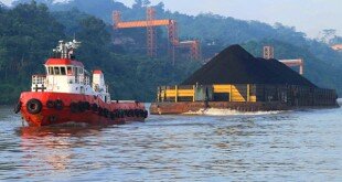 Image credit: Borneo Coal Trading